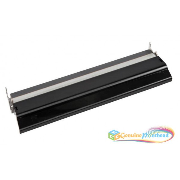Testina Di Stampa Termica Per Zebra Z6M, Z6M Plus, Z6000 – 203dpi – Ricambio Originale G79058M